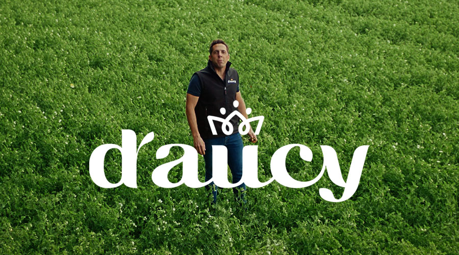 D'Aucy
